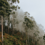 Drogi rodzicu, drogi opiekunie – przyjmij od nas życzenia…