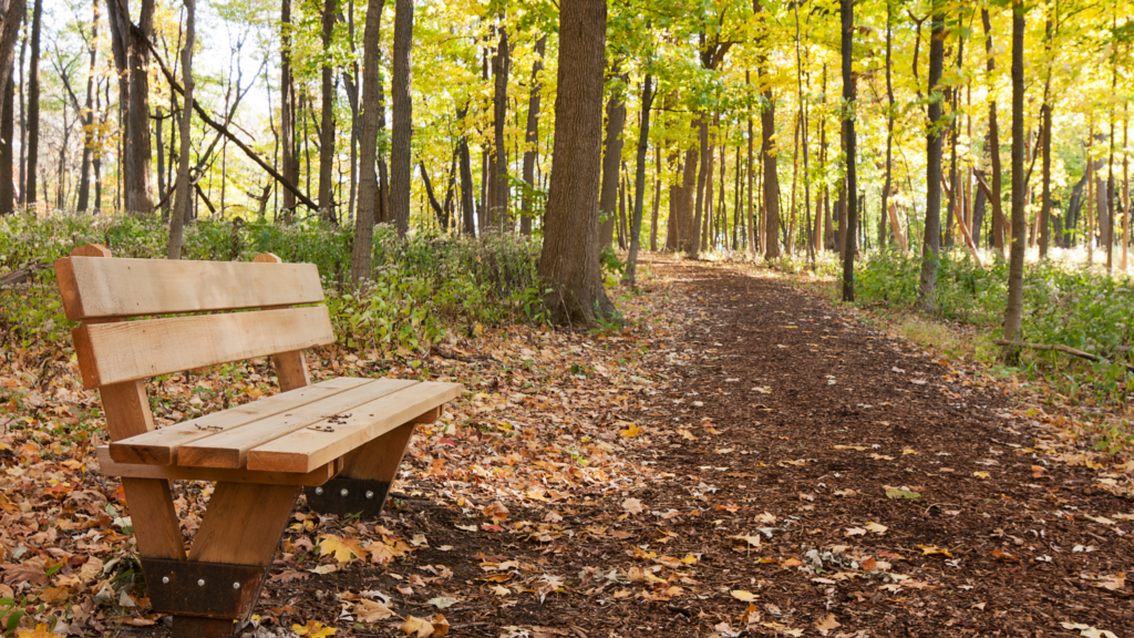 Sokołowsko – A Week That Gives Parents More Than Rest